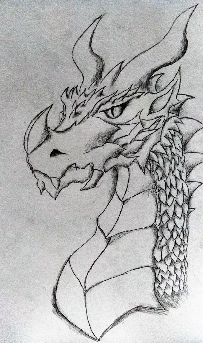 dragon_head_sketch_by_killer150-dbipa1s.jpg