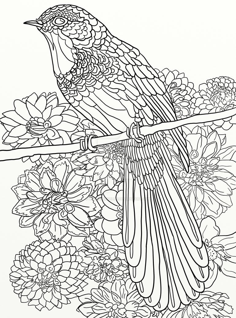 australian bird coloring pages - photo #25