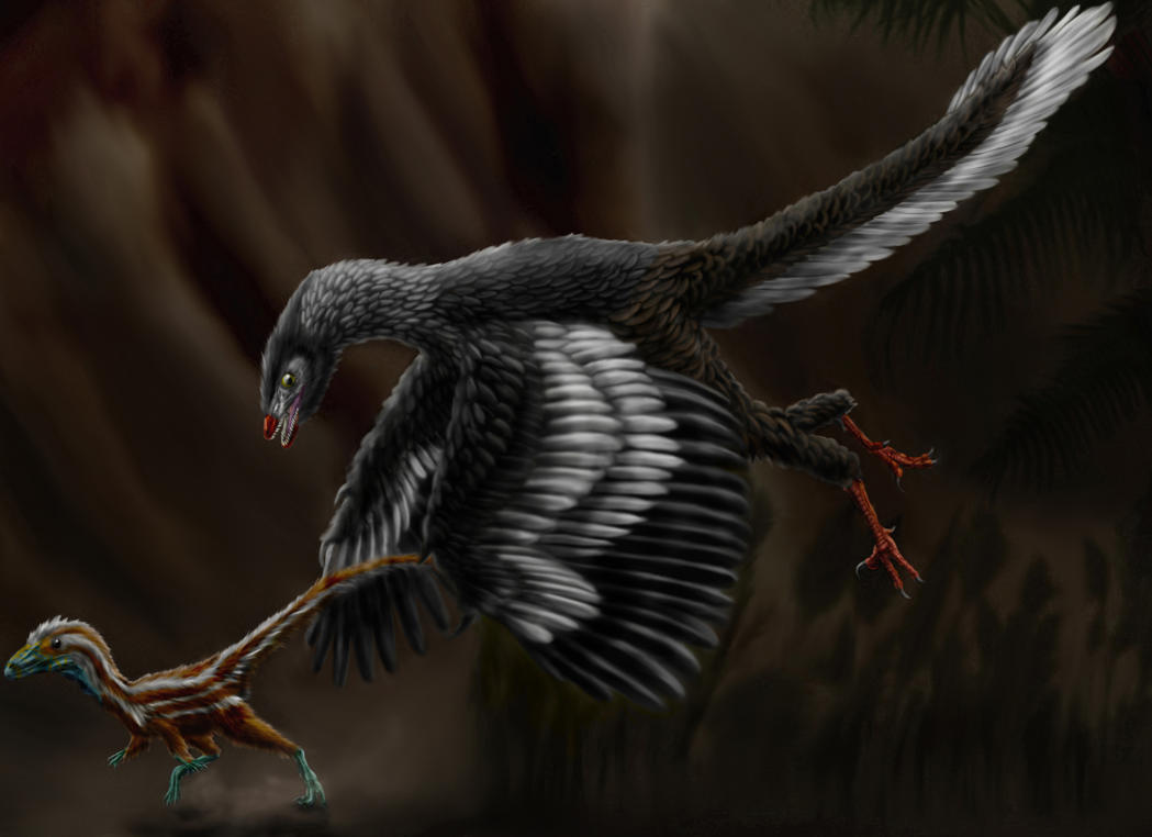 archaeopteryx_litographica_by_durbed d56wmo3