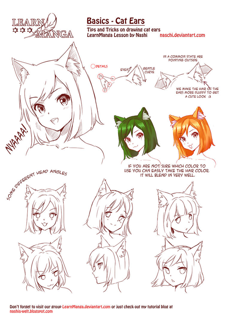 Learn Manga Basics Cat Ears by Naschi on DeviantArt