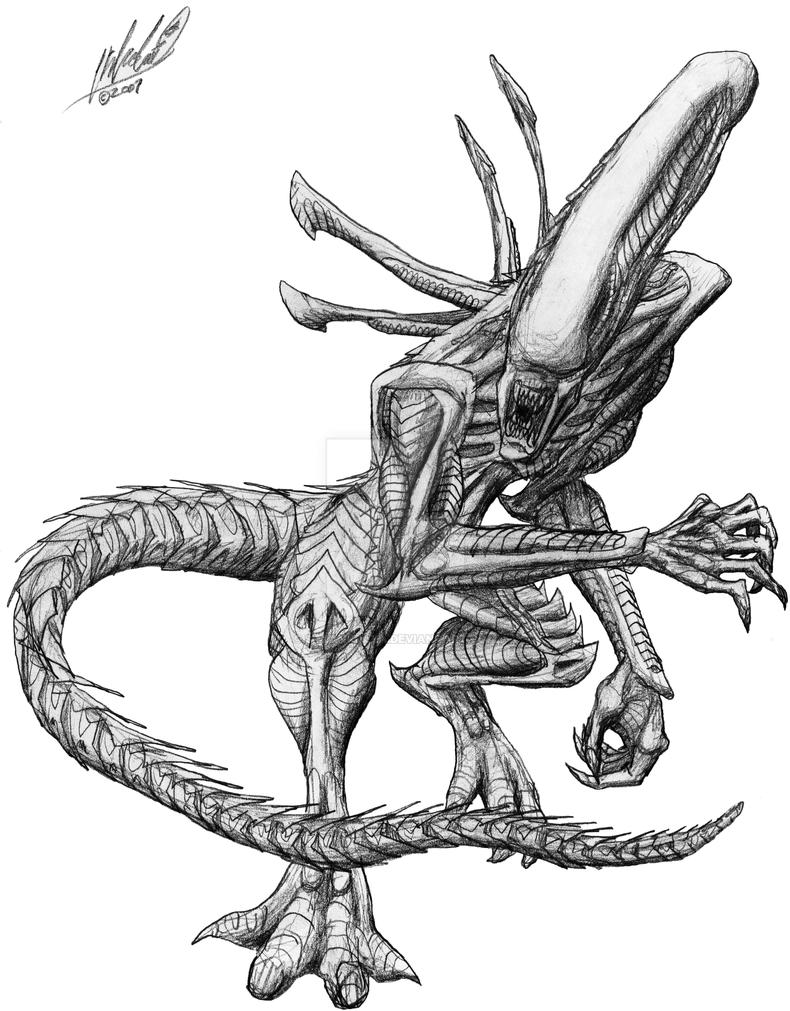 xenomorph drone coloring pages - photo #2