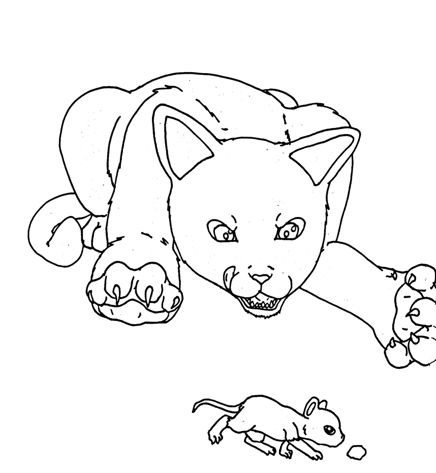 Midnight Cat Coloring Pages 10