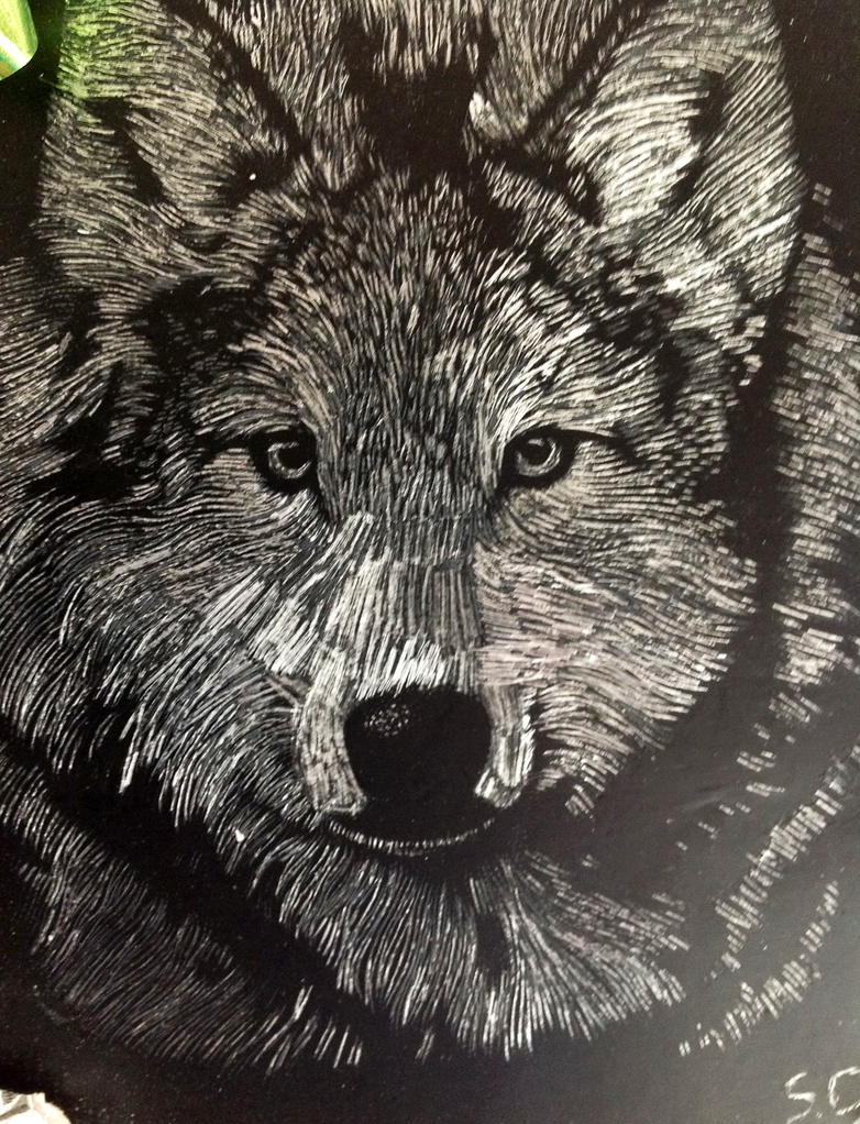 Wolf Engraving by EponineRose1232 on DeviantArt