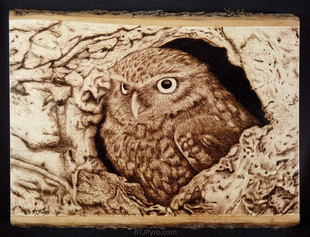 Owl - woodburning by brandojones on DeviantArt